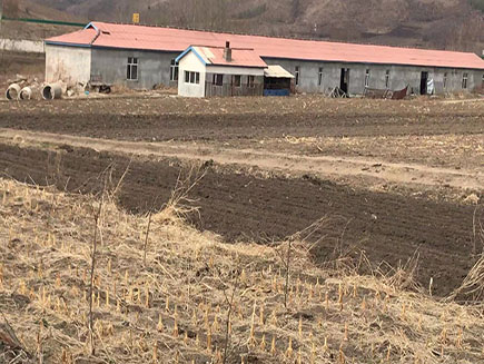 延边州敦化市官地镇北两公里养殖场出售